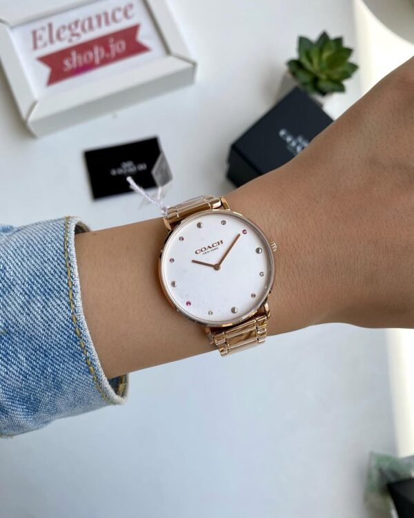 Coach PERRY Women's Watch 14503938