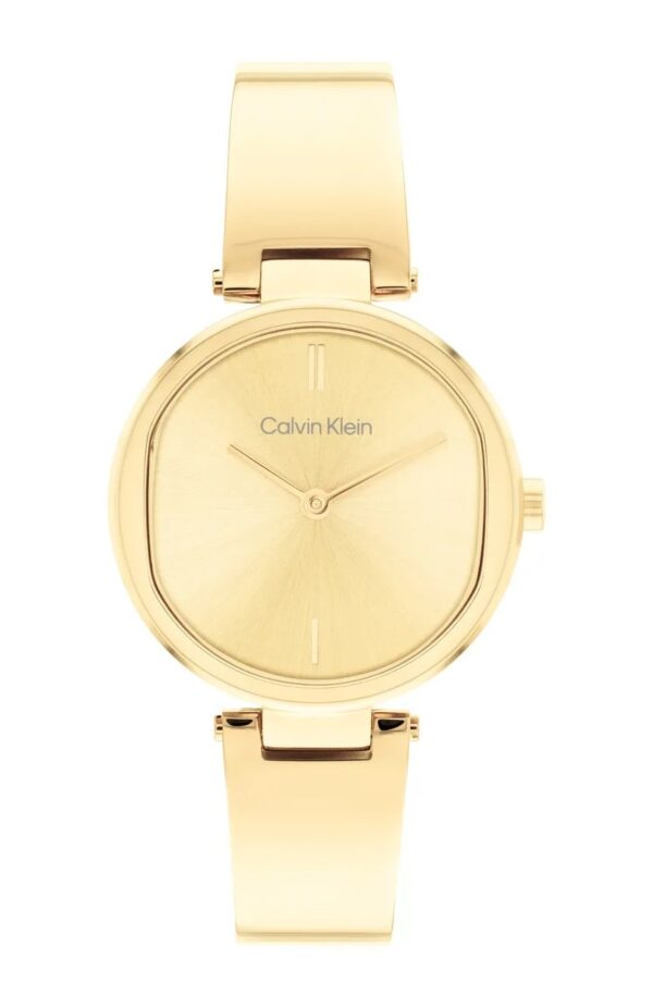 Calvin Klein Elevated Women's  Watch 25200309