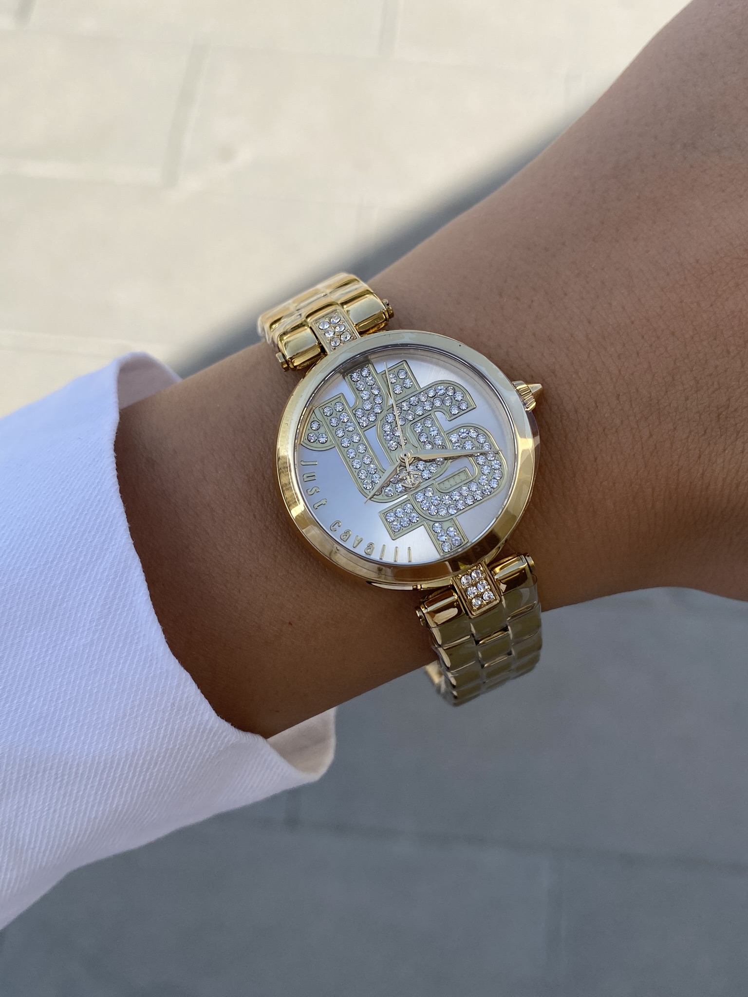 Just Cavalli Women Watch JC1L241M0055